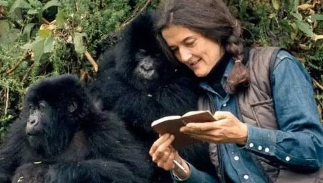 dian-fossey